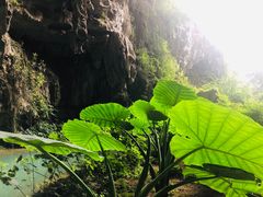 -百魔洞景区