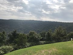 -济州森林小火车生态公园