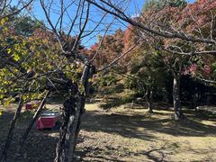 -清凉寺