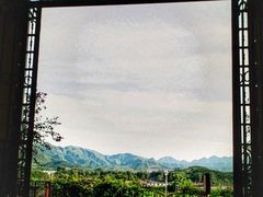 -北京张裕爱斐堡酒庄