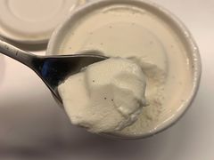 马达加斯加香草雪糕-歎雪糕低糖低脂Gelato冰淇淋