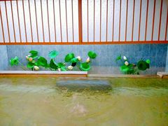 -汤泉良子.足疗按摩.SPA(中关村店)