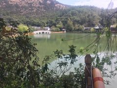 -黑龙潭公园