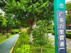 -芒洲湿地公园