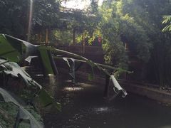 -天赐温泉