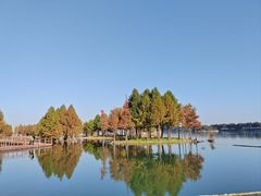 -贡湖湾湿地公园