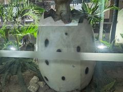 -抱璞文化展示中心