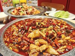 -美蛙四季(黄寺大街店)