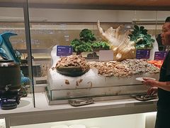 -星伦多自助料理·涮烤一体(江桥万达店)
