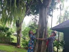 -四季酒店下午茶