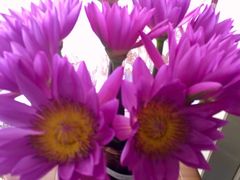 -森野花艺培训·企业团建活动沙龙