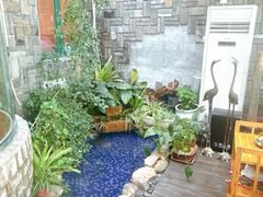 -慢丽江·云南野生菌土鸡锅(付家庄店)