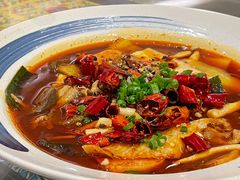 渝信毛血旺-渝信川菜(西单店)
