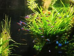 -上海海洋水族馆