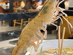 鲜活竹签虾-围炉夜话·潮汕卤水火锅(榕江店)