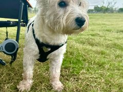 -omitofee咖啡(水泽店)