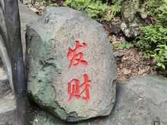 -茅兰沟国家森林公园