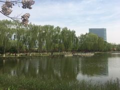 -大兴滨河森林公园