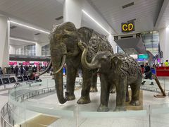 -英迪拉·甘地国际机场