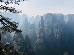 -一品香粉馆(官黎路店)