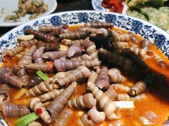 红烧长螺-天台徐家小吃