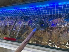 -春华海鲜城(广场西苑店)