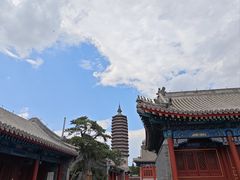-西海子公园