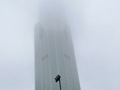 -上海明天广场JW万豪酒店