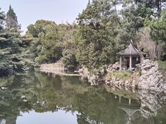 -叶家花园
