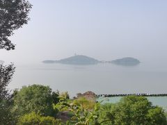 -上海市保健医疗中心