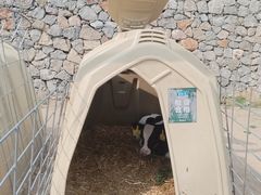 -君乐宝优致牧场