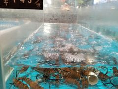 -艳阳天·非遗楚菜(武汉客厅店)