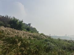 -金海湾滨江公园