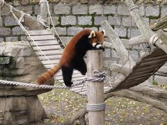 -上海野生动物园