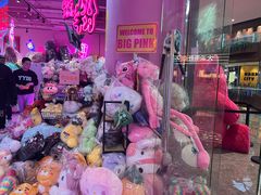 -BIG PINK大粉娃娃机主题馆(圆融星座店)