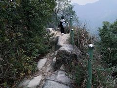 -南山植物园