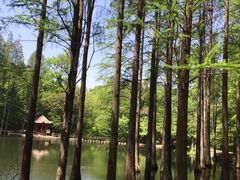 -波尔登森林公园
