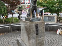 -涩谷区