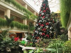 -广州白天鹅宾馆