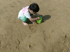 -碧海金沙