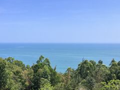 -广东惠东海龟国家级自然保护区