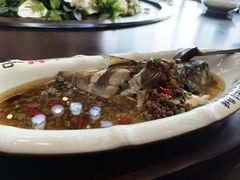 -胖大姐黄辣丁鱼庄(新津店)