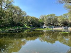 -高尔山公园
