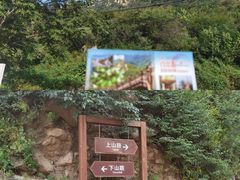 -大岭沟猕猴桃谷风景区