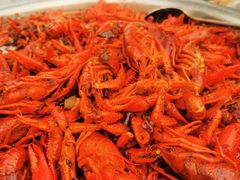 -天津金元宝滨海农产品交易市场(共发大道)