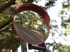 -大埔公路-马料水段香港中文大学(公交站)