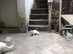 -无牌咖啡&酒馆