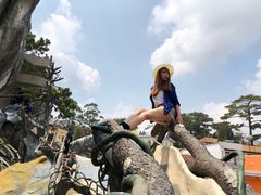 -疯狂屋