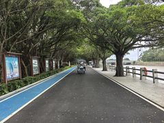-大湾区中央湿地公园