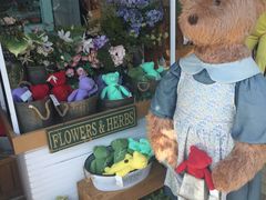 -济州岛泰迪熊博物馆